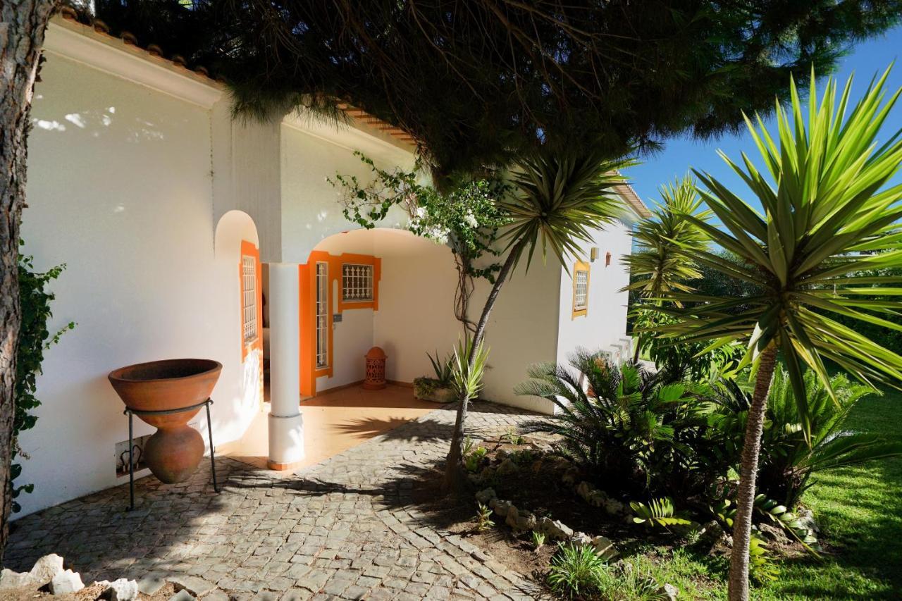 Pinheiro Manso Villa